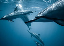 开云体育APP-国际乒联双打世界杯将于2027年举办